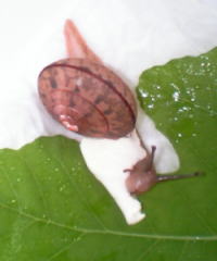 e0070004_12102840.jpg