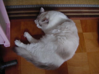 c0024410_1861220.jpg