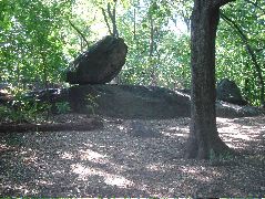 e0052534_1137138.jpg