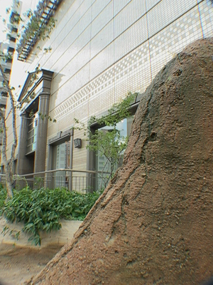 e0069646_18391175.jpg