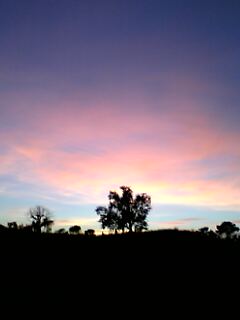 c0038548_1123863.jpg