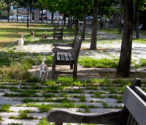 c0067449_1472258.jpg