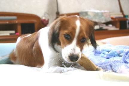 d0013149_1125014.jpg