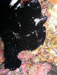 b0062363_19555640.jpg
