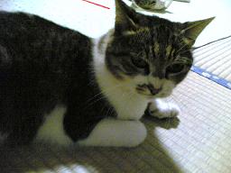 d0038975_17415129.jpg