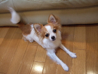 b0043980_2254312.jpg