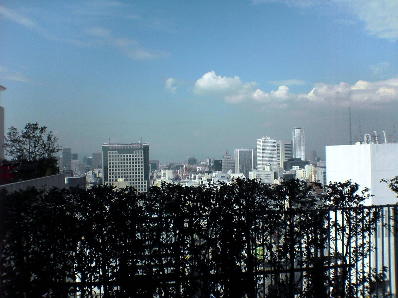 e0005887_04024.jpg