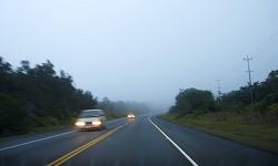 b0015290_239312.jpg