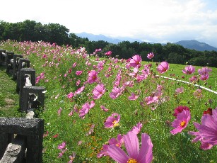 c0005899_1353321.jpg