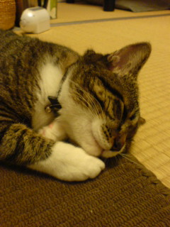 c0035001_21415328.jpg