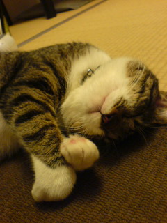 c0035001_21444884.jpg