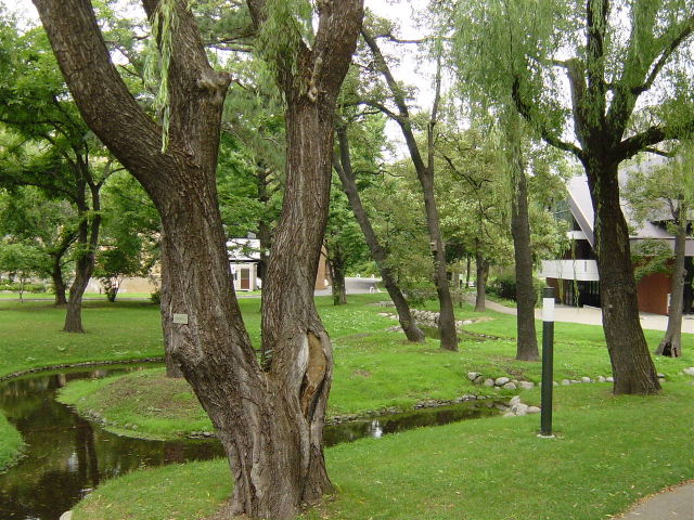 e0039408_22171854.jpg