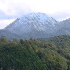 c0036617_20194213.jpg