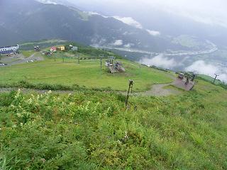 a0037820_1543252.jpg