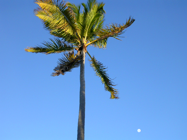 b0016623_0413145.jpg