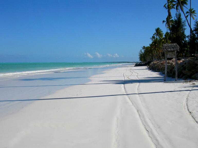b0016623_0485240.jpg