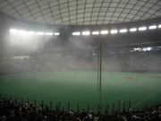 b0008526_19464258.jpg