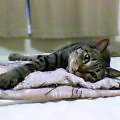 c0025840_1864495.jpg