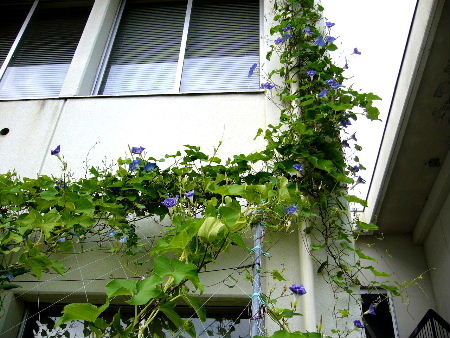 b0015260_1853205.jpg
