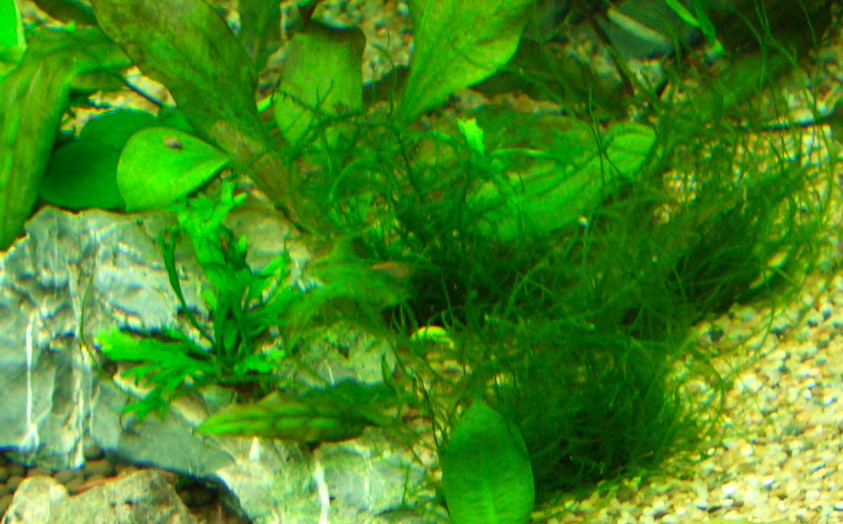 c0025360_22474852.jpg