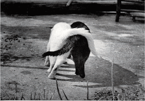 d0065364_2161678.gif