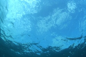 e0056370_11471295.jpg