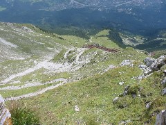 b0039373_14504531.jpg