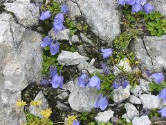 b0039373_1451225.jpg