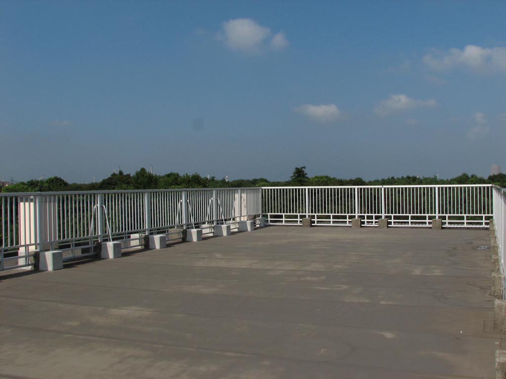 e0071178_1345941.jpg