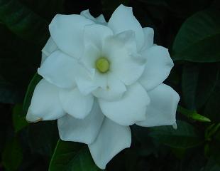 d0064990_21344371.jpg