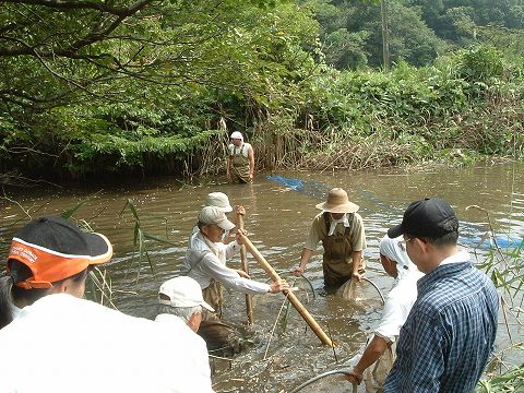 e0070891_22142974.jpg