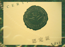 c0055305_063945.jpg
