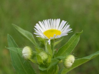 b0061107_15331369.jpg