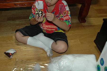 d0053710_17313321.jpg