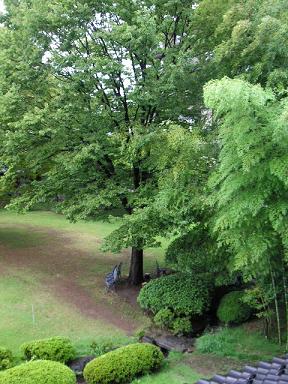 b0007421_16513793.jpg