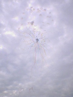 c0000134_14443988.jpg
