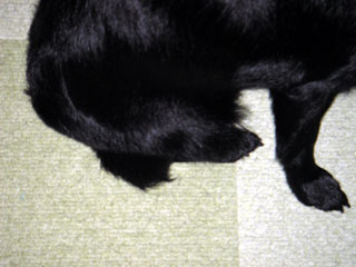 d0049135_1738094.jpg
