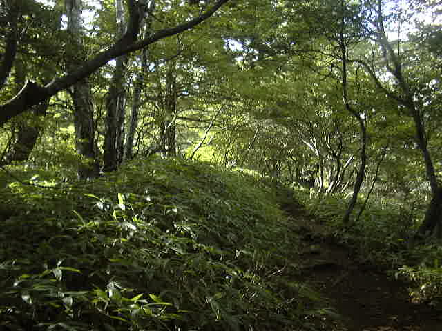e0016150_2118397.jpg