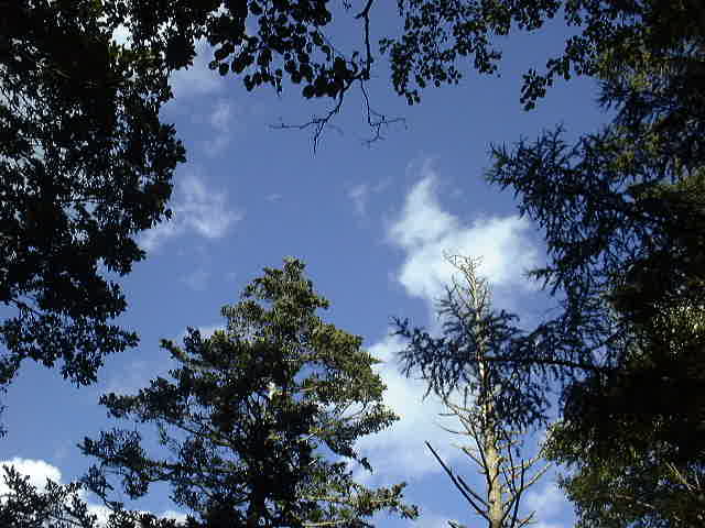 e0016150_21192678.jpg
