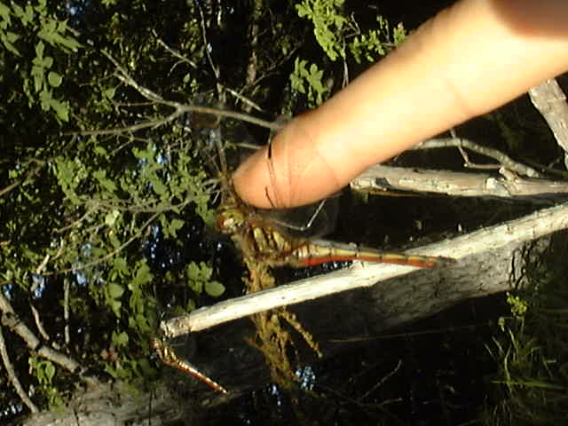 e0016150_21195356.jpg