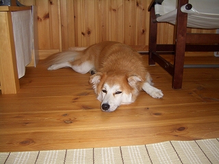 e0019550_20253581.jpg