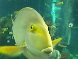 c0036471_12585241.jpg