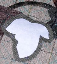 c0026781_1595497.jpg