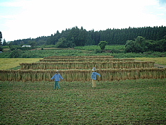 c0068891_5541461.jpg