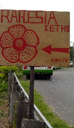 b0046200_10195128.jpg