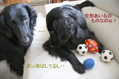 c0050400_1555318.jpg