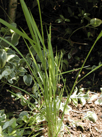 b0012811_0252362.gif