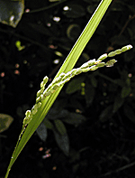 b0012811_0255024.gif