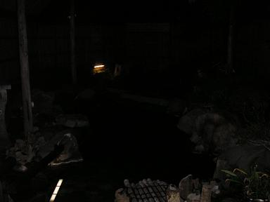 b0007421_16213330.jpg