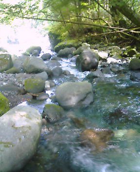 a0038332_1953297.jpg